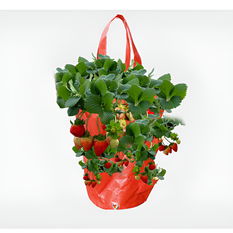 Bolsas colgantes para plantar en el jardín