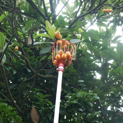 Recolector de frutas con palo extensible