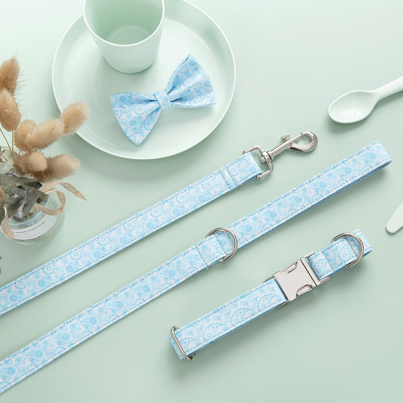 Dog Leash and Collar Set