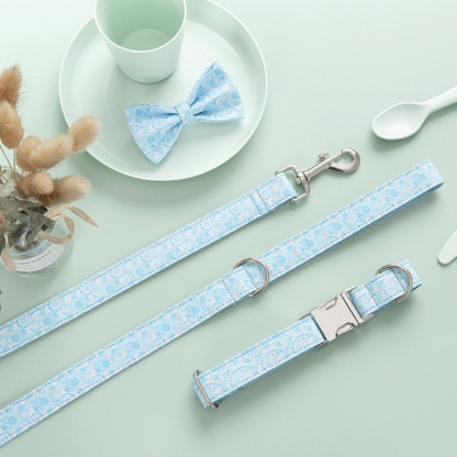 Dog Leash and Collar Set