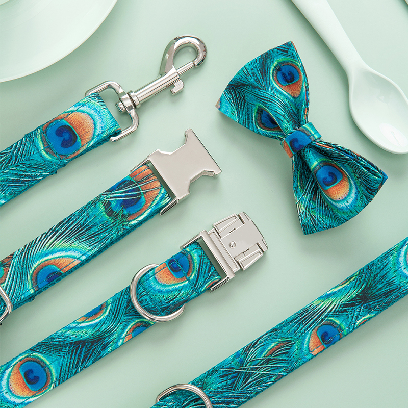 Dog Leash and Collar Set