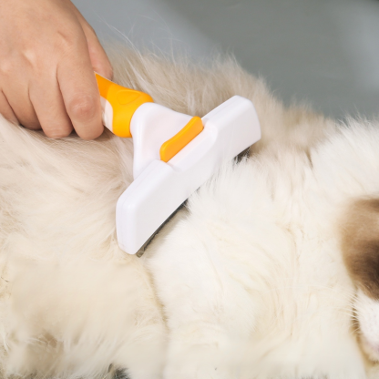 Hair Removal Brush for Cats and Dogs