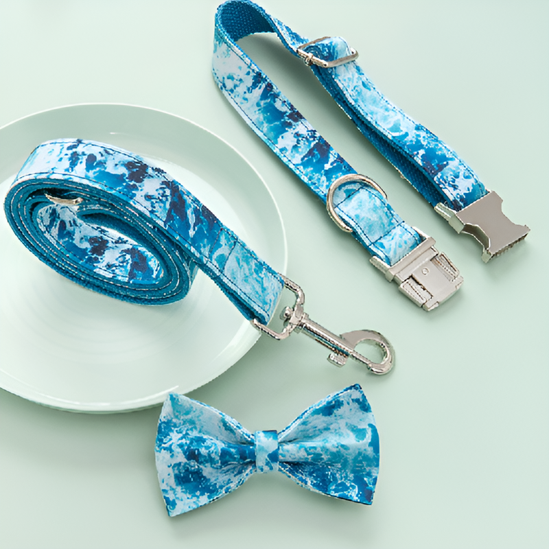 Dog Leash and Collar Set