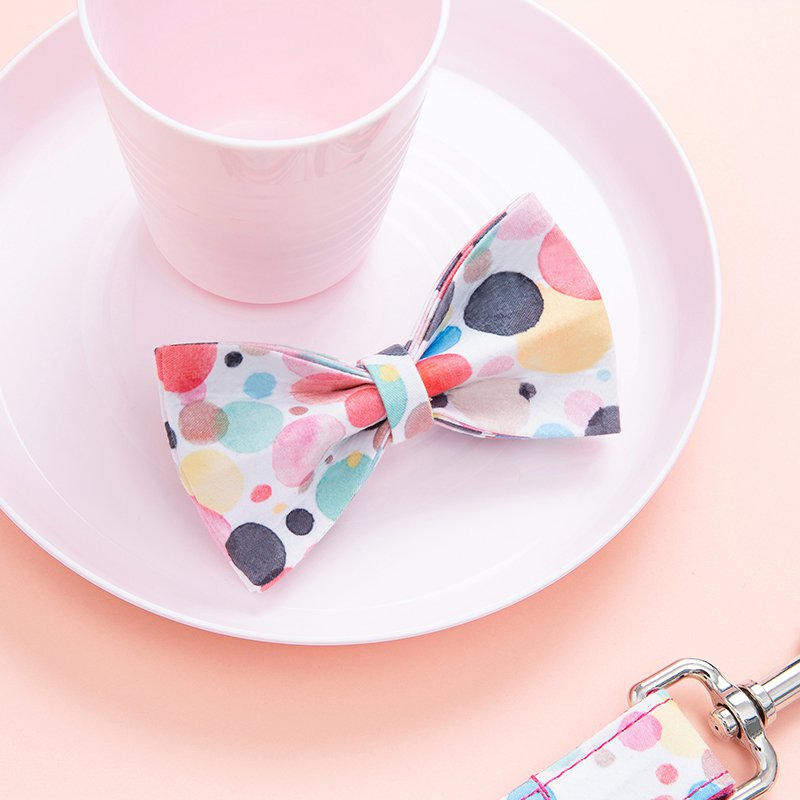 Dog Leash and Collar Set