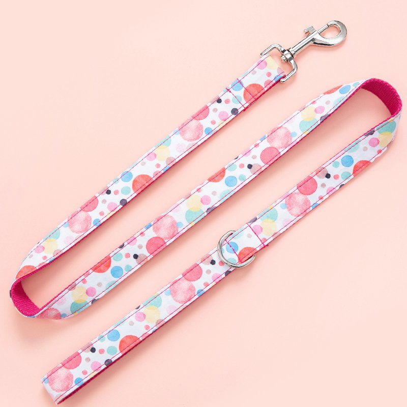 Dog Leash and Collar Set