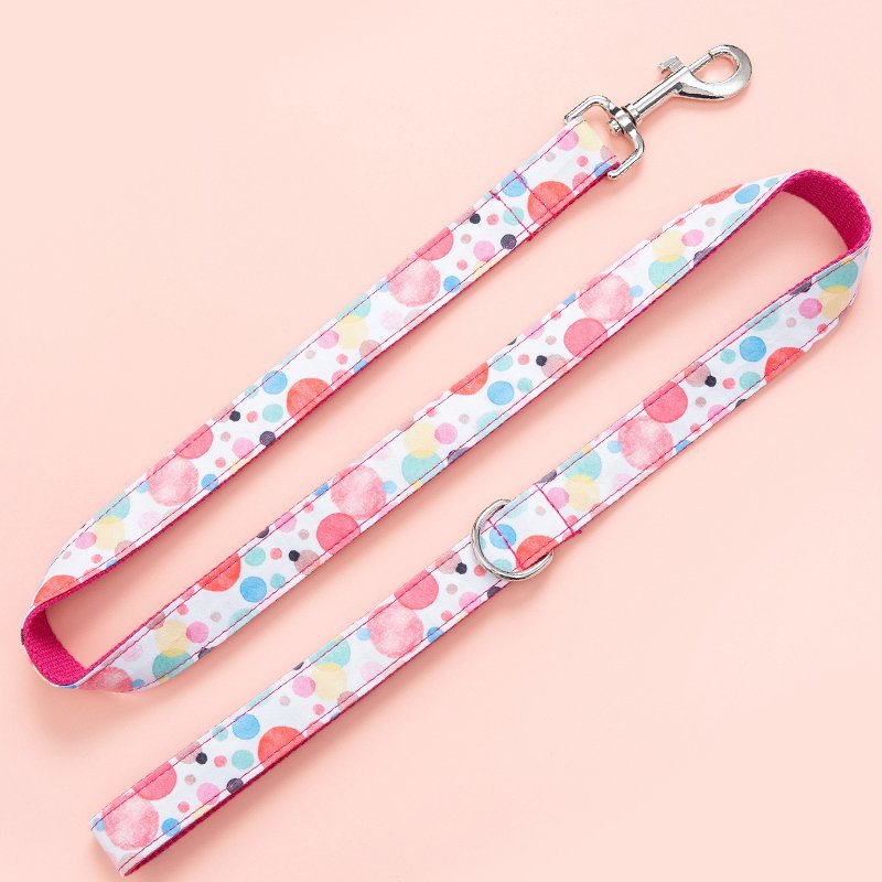 Dog Leash and Collar Set