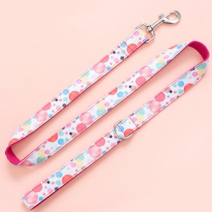 Dog Leash and Collar Set