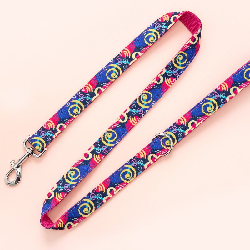 Dog Leash and Collar Set