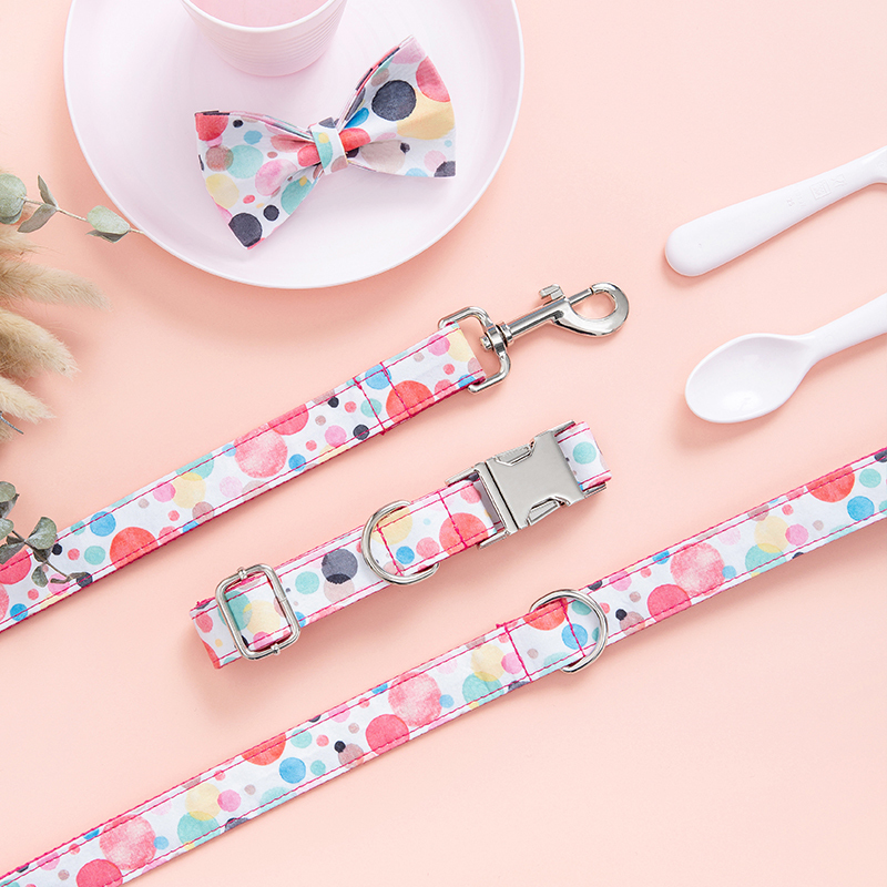 Dog Leash and Collar Set