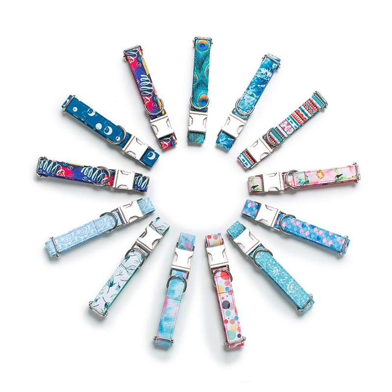 Dog Leash and Collar Set