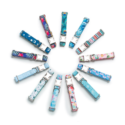 Dog Leash and Collar Set