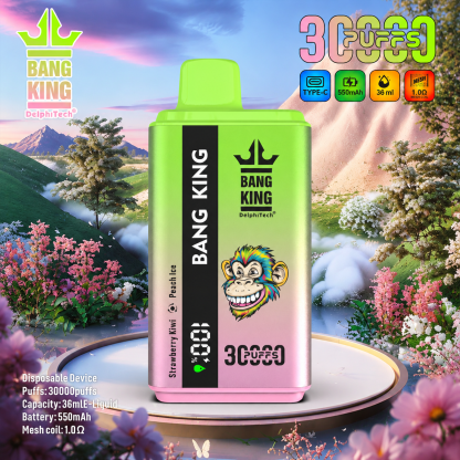 Bang King 30000 Puffs Disposable Vape 