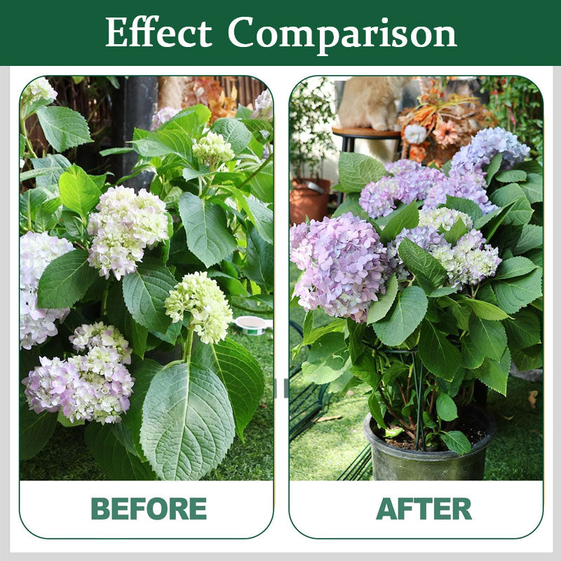 Latest plant support