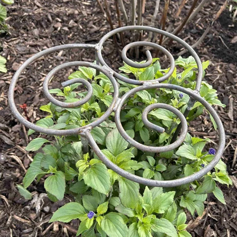 Plant Support