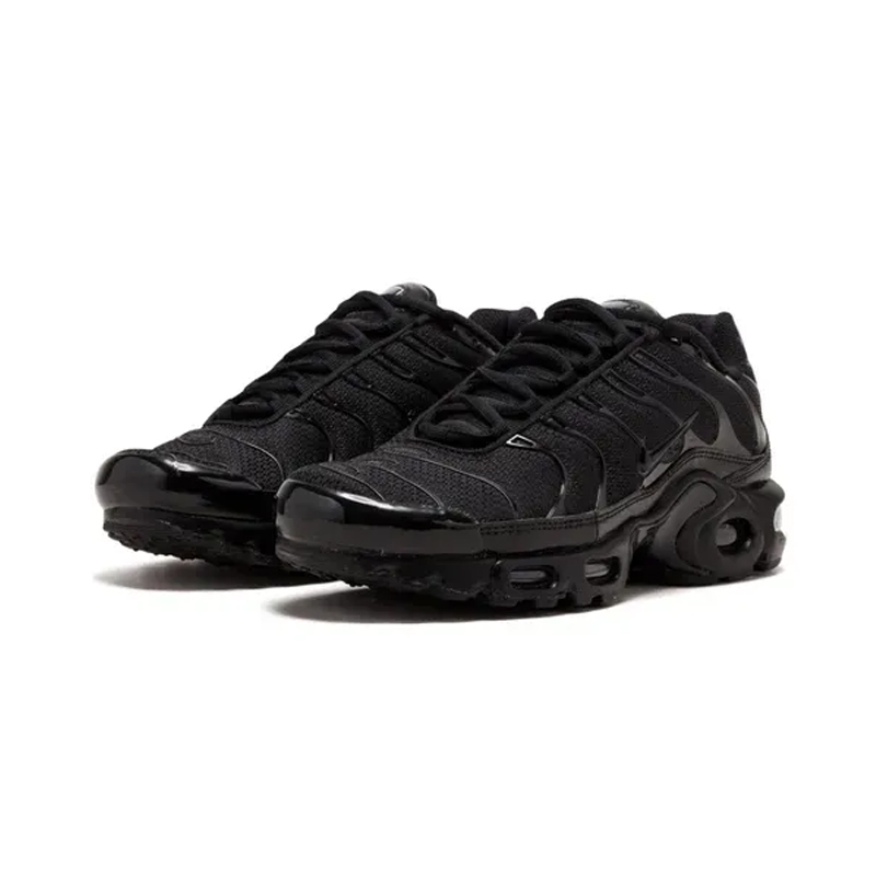 Nike Air Max Plus White Black
