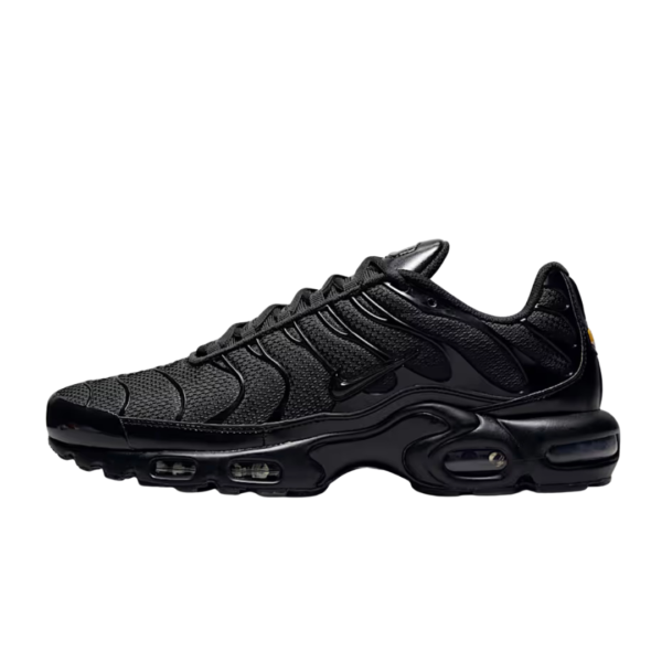 Nike Air Max Plus TN ''Black''