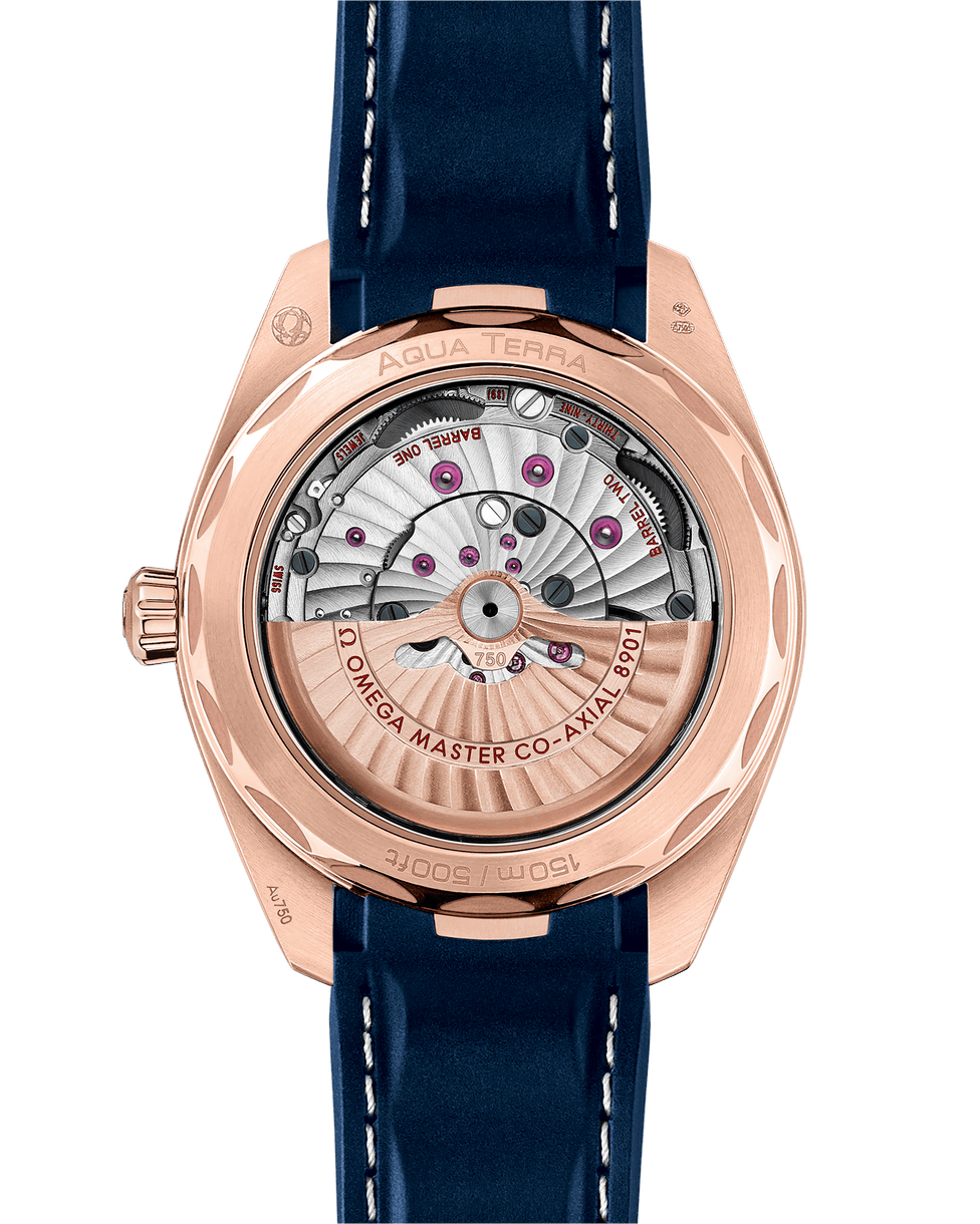 OMEGA Seamaster Aqua Terra 150M