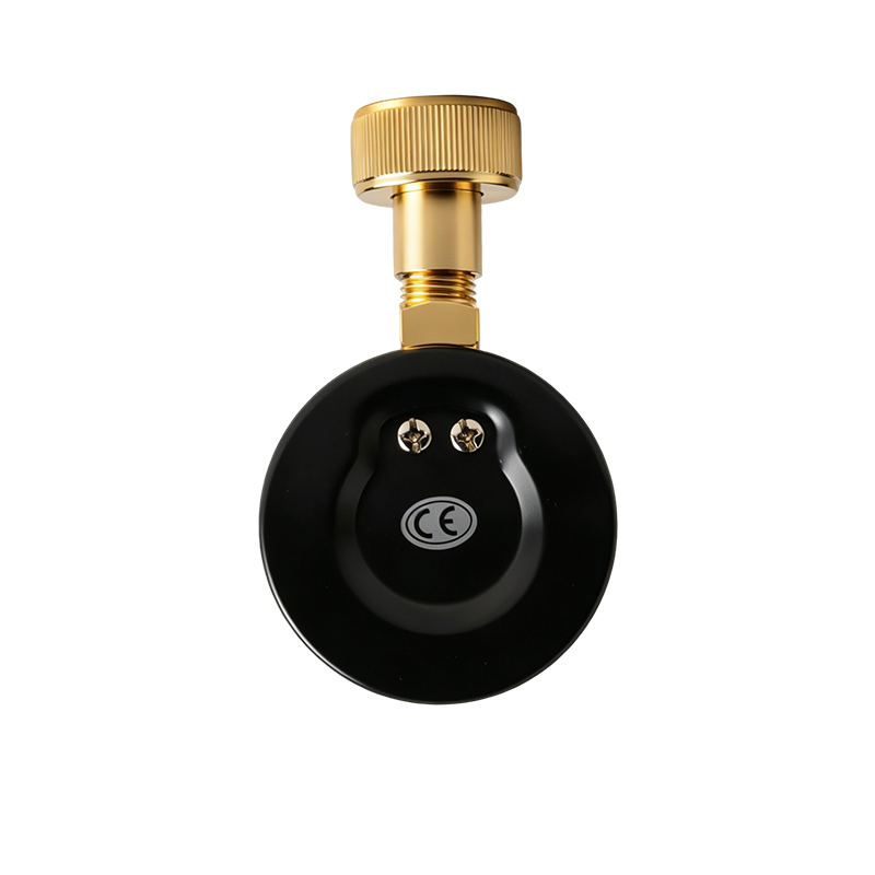 Water Pressure Test Gauge, 0-10 Bar (0-140 PSI), EN837-1, 1/2" Brass Thread Pressure Gauge for Household Pipe Pressure Testing