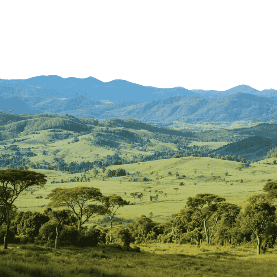 Madagascar eSIM