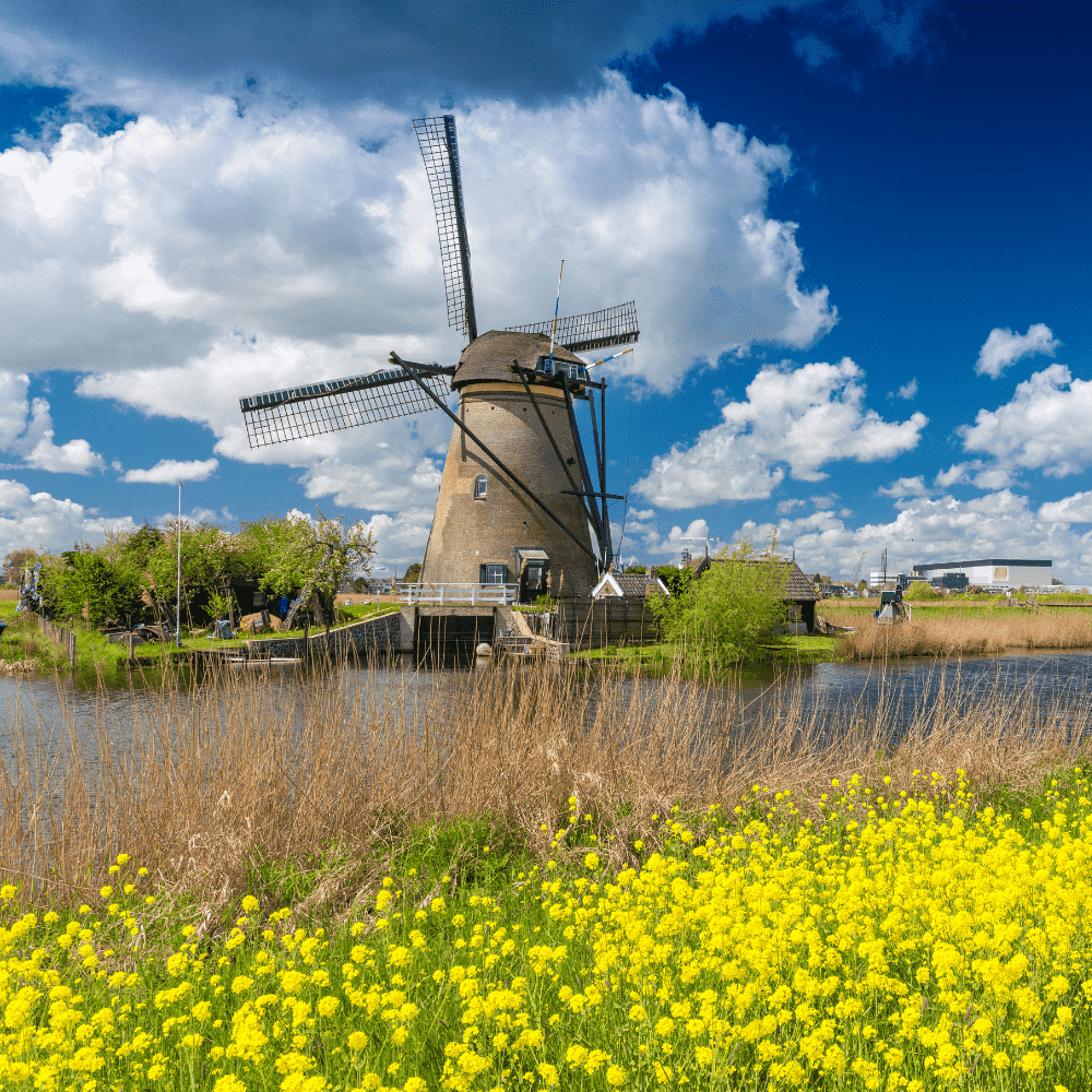 Netherlands eSIM – windmill and tulip fields landscape, travel eSIM for Netherlands

