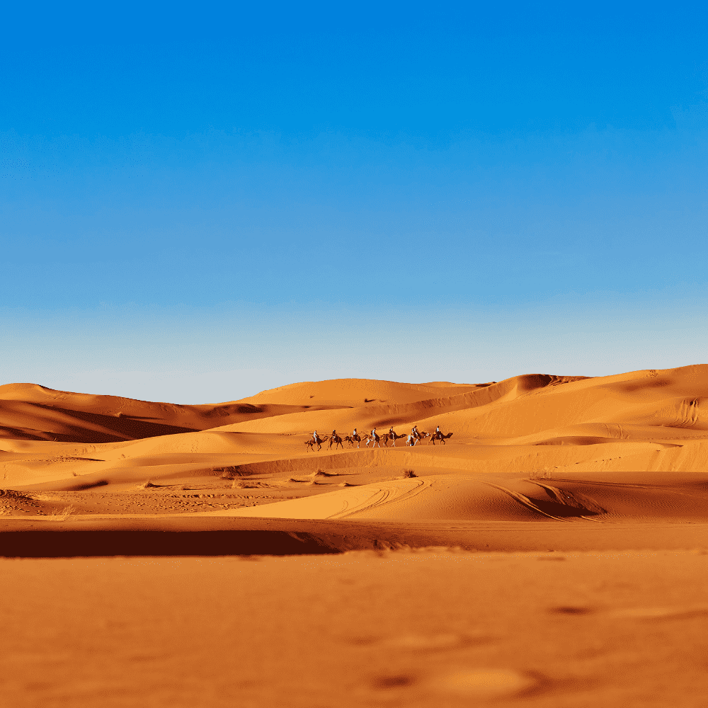 North Africa eSIM (10 Countries)