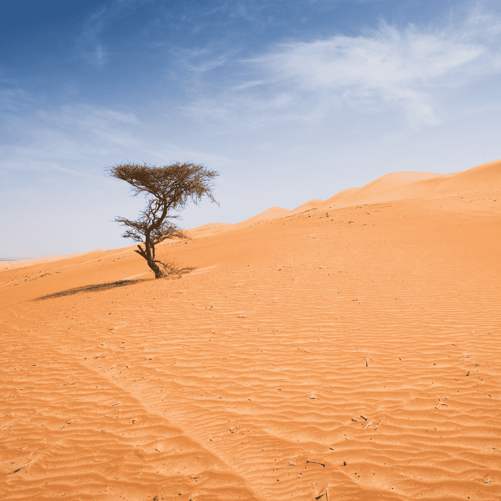 Oman & Qatar eSIM
