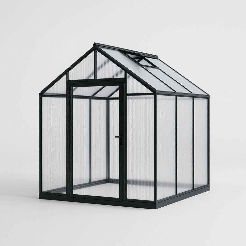 Serre de Jardin Aluminium et Polycarbonate Noir 250 cm x 190 cm x 195 cm