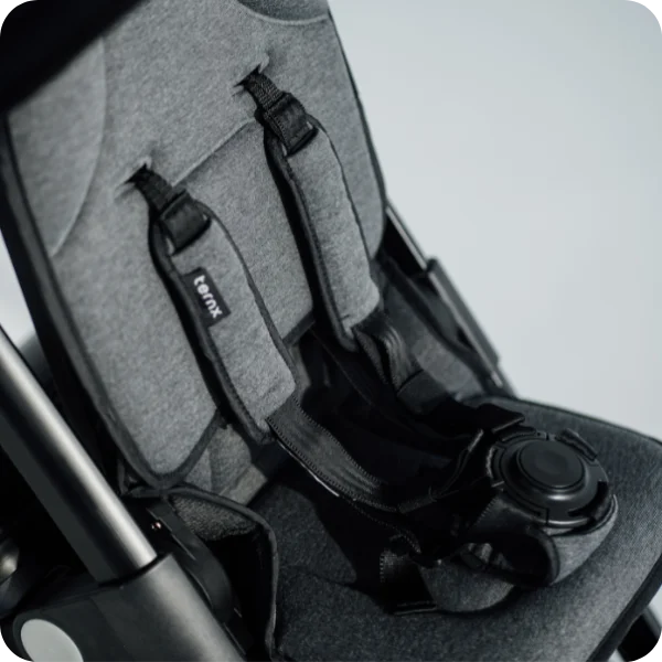 Carry on Luggage Stroller