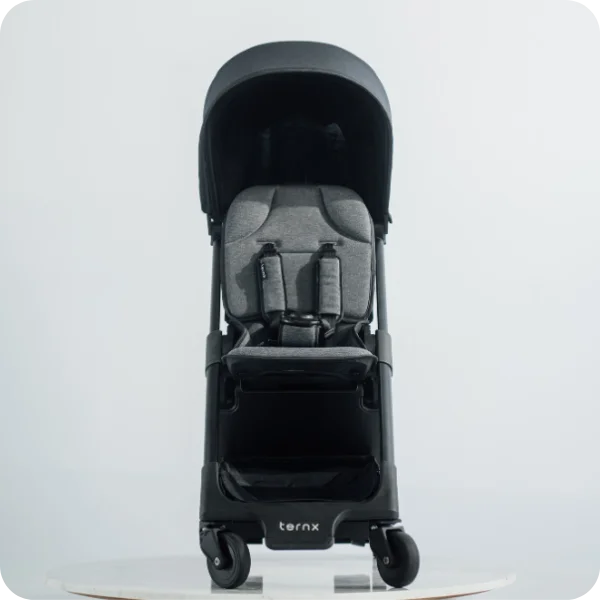 Carry on Luggage Stroller