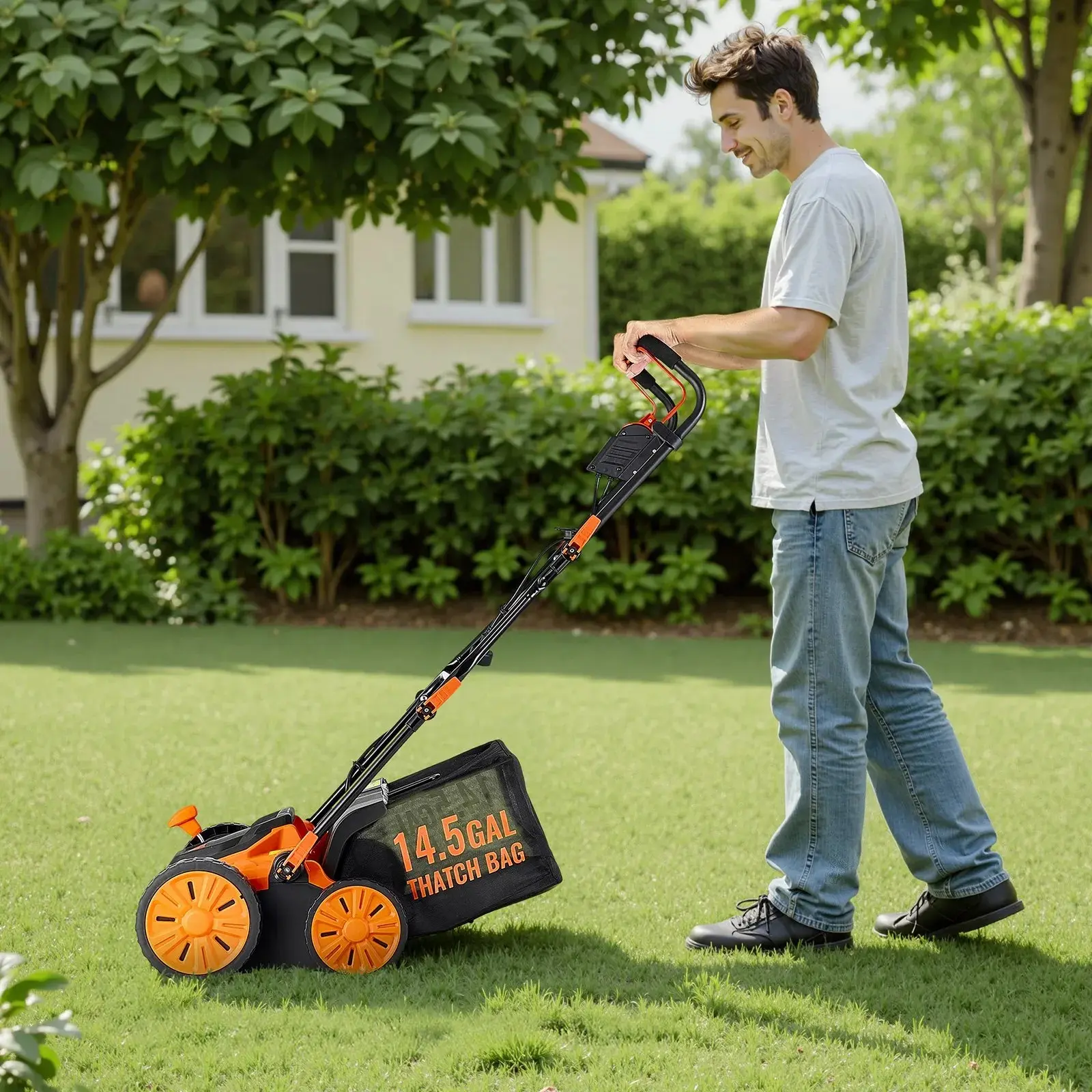 2-in-1 Electric Dethatcher and Scarifier Lawn Dethatcher