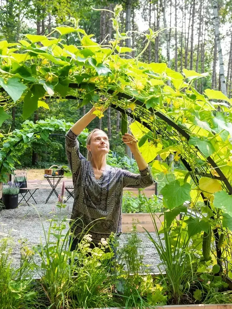 8' X 2' x 4' Self-Watering Eco-Stained Elevated Planter Box+ Arch Trellis