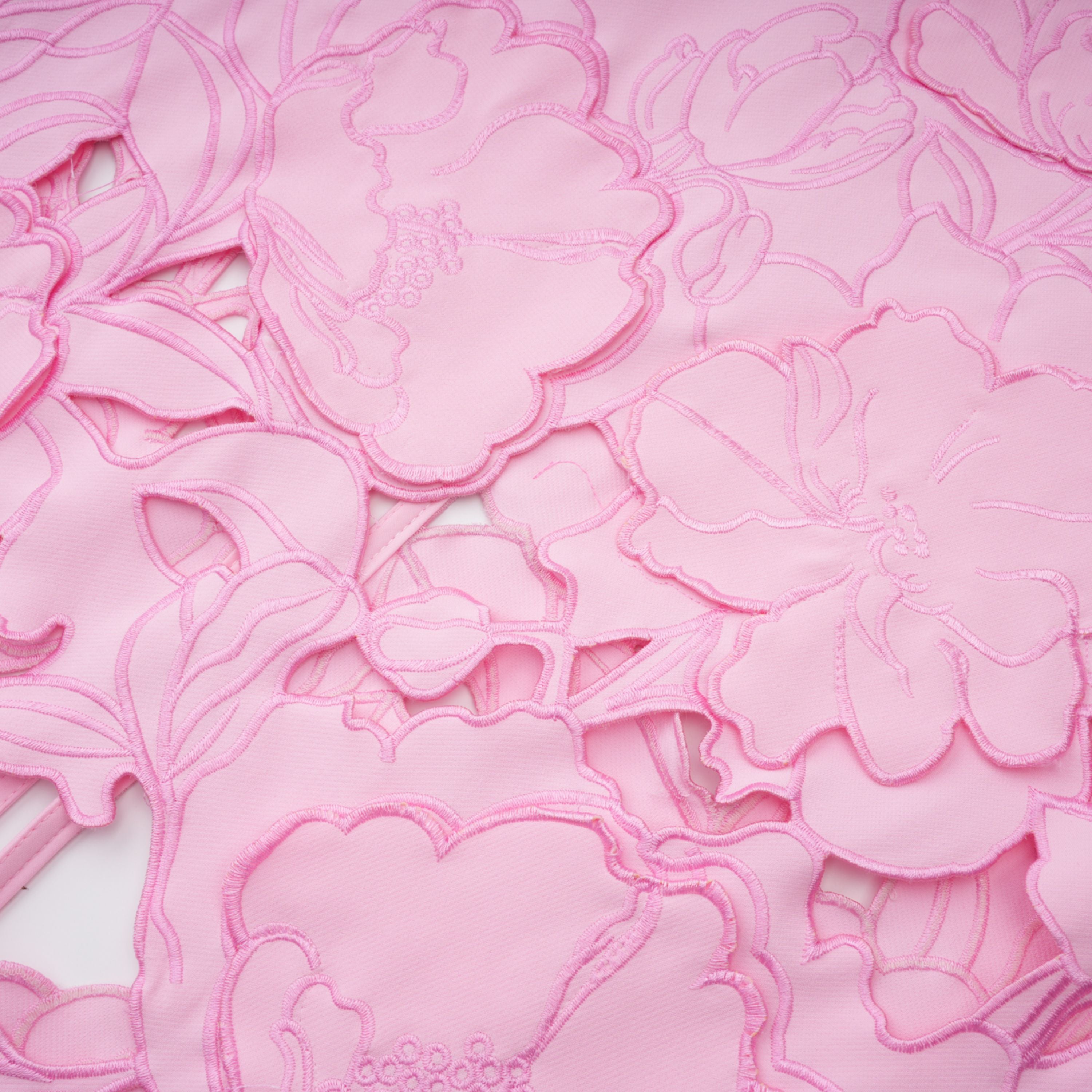 Ariza Pink Strapless Floral Embroidered Maxi Dress