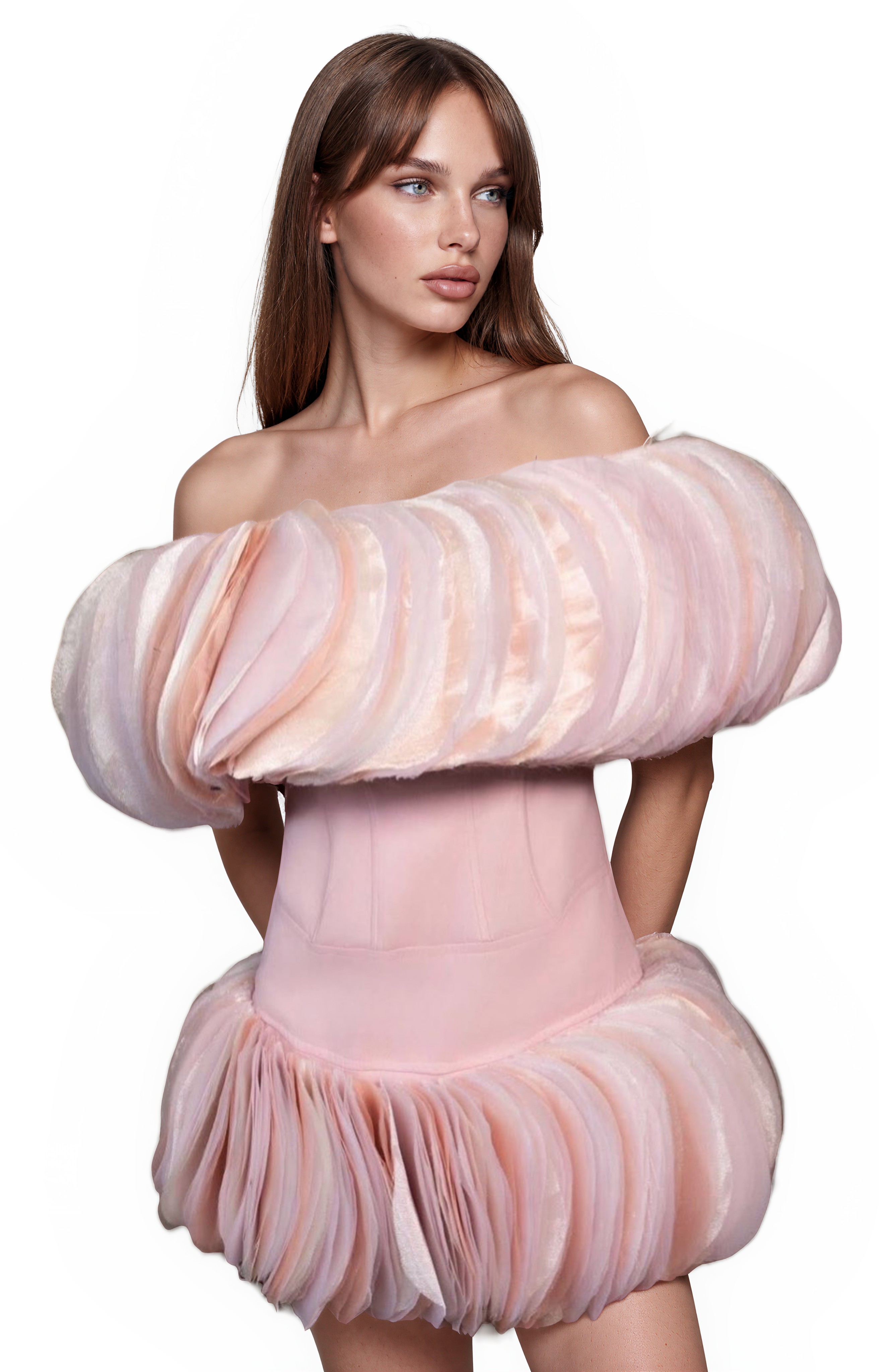 Rodiola Off Shoulder Tulle Mini Dress