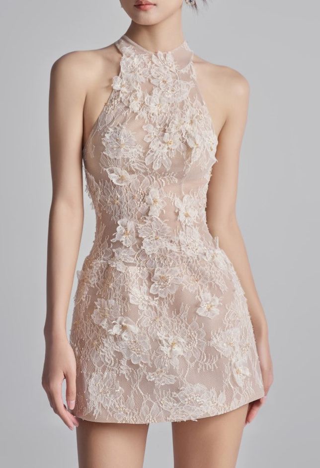Fitzwilliam Aurelia Lace Dress in Beige