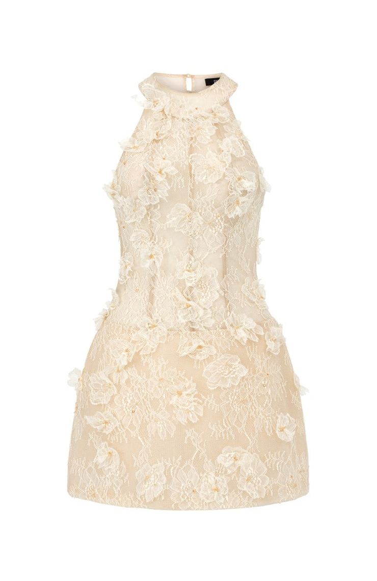 Fitzwilliam Aurelia Lace Dress in Beige