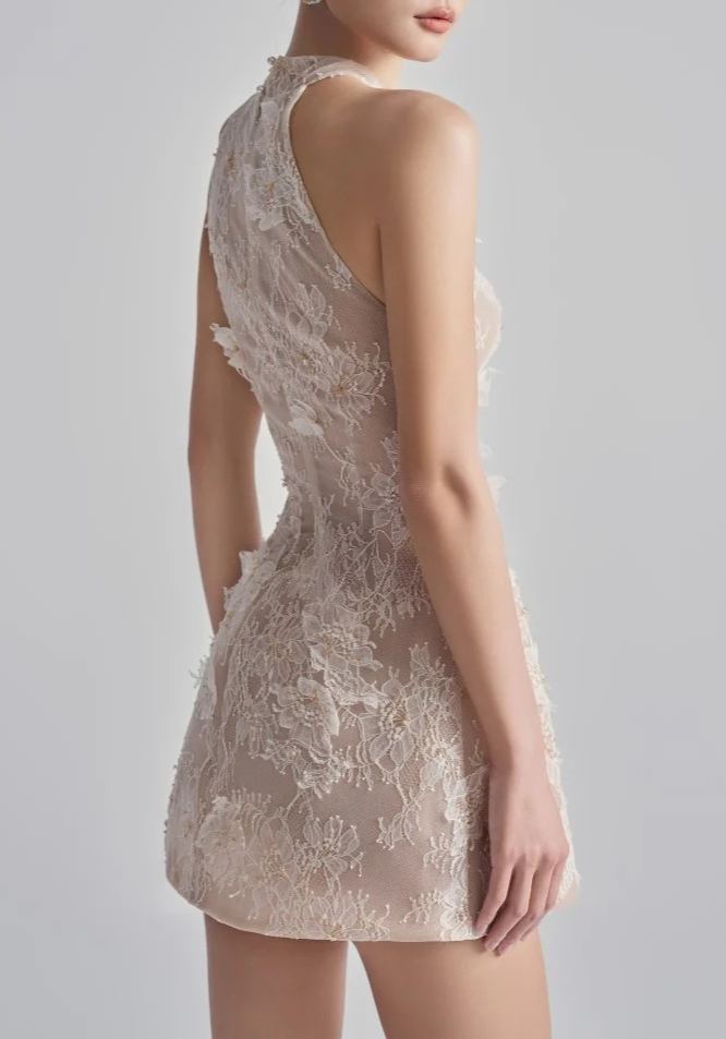 Fitzwilliam Aurelia Lace Dress in Beige