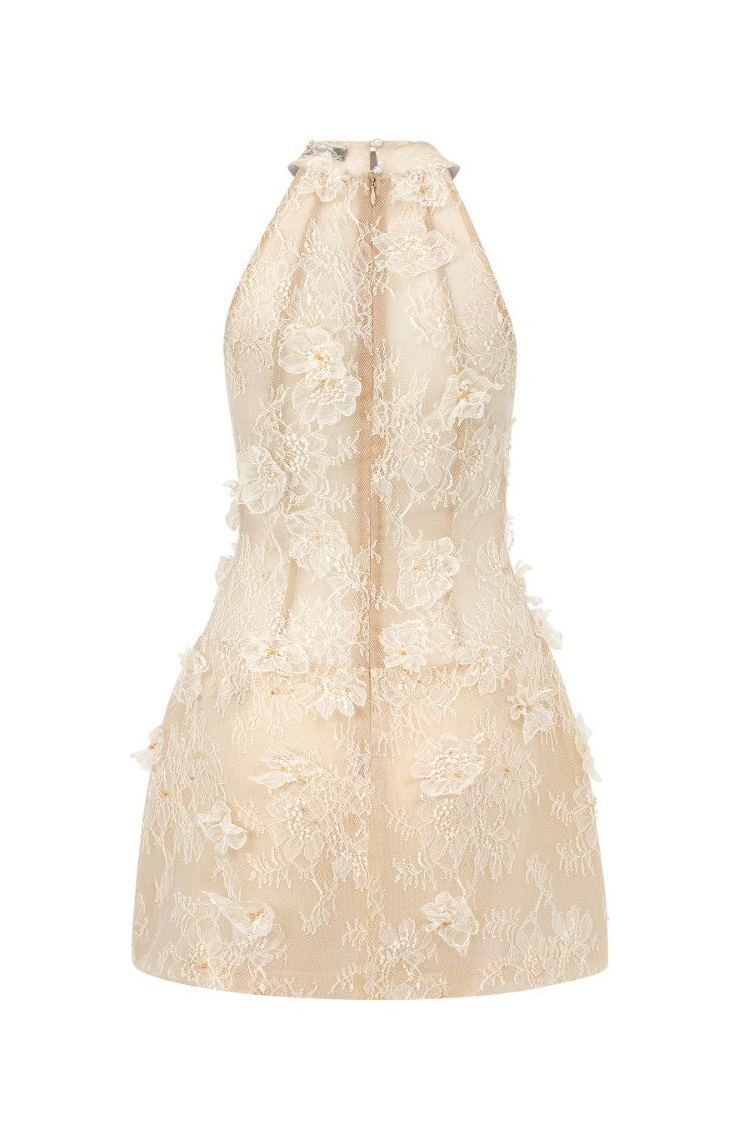 Fitzwilliam Aurelia Lace Dress in Beige