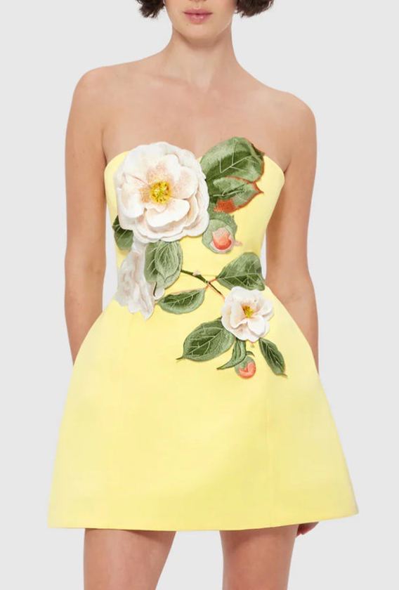 Beryndor Yellow Floral Embroidered Mini Dress