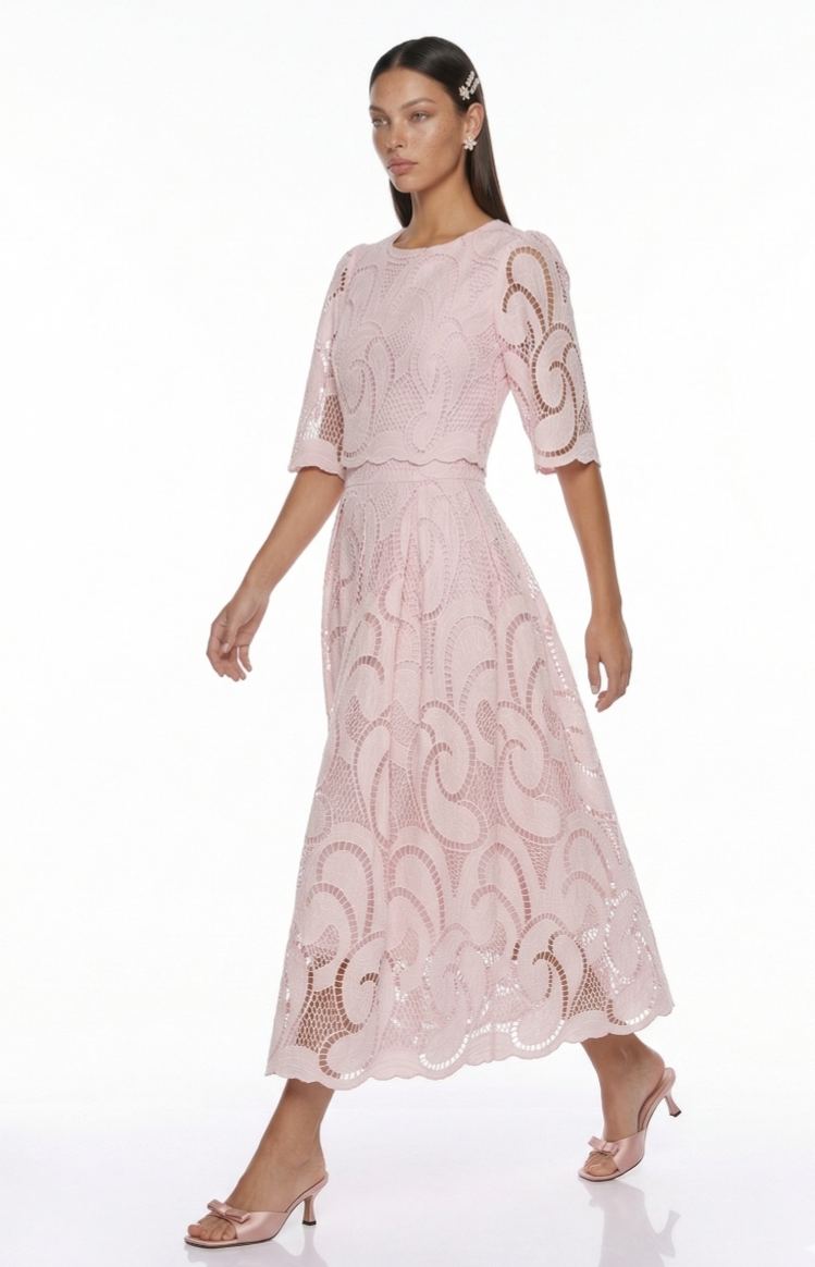 Sarolta Pink Embroidered Blouse & Skirt Set