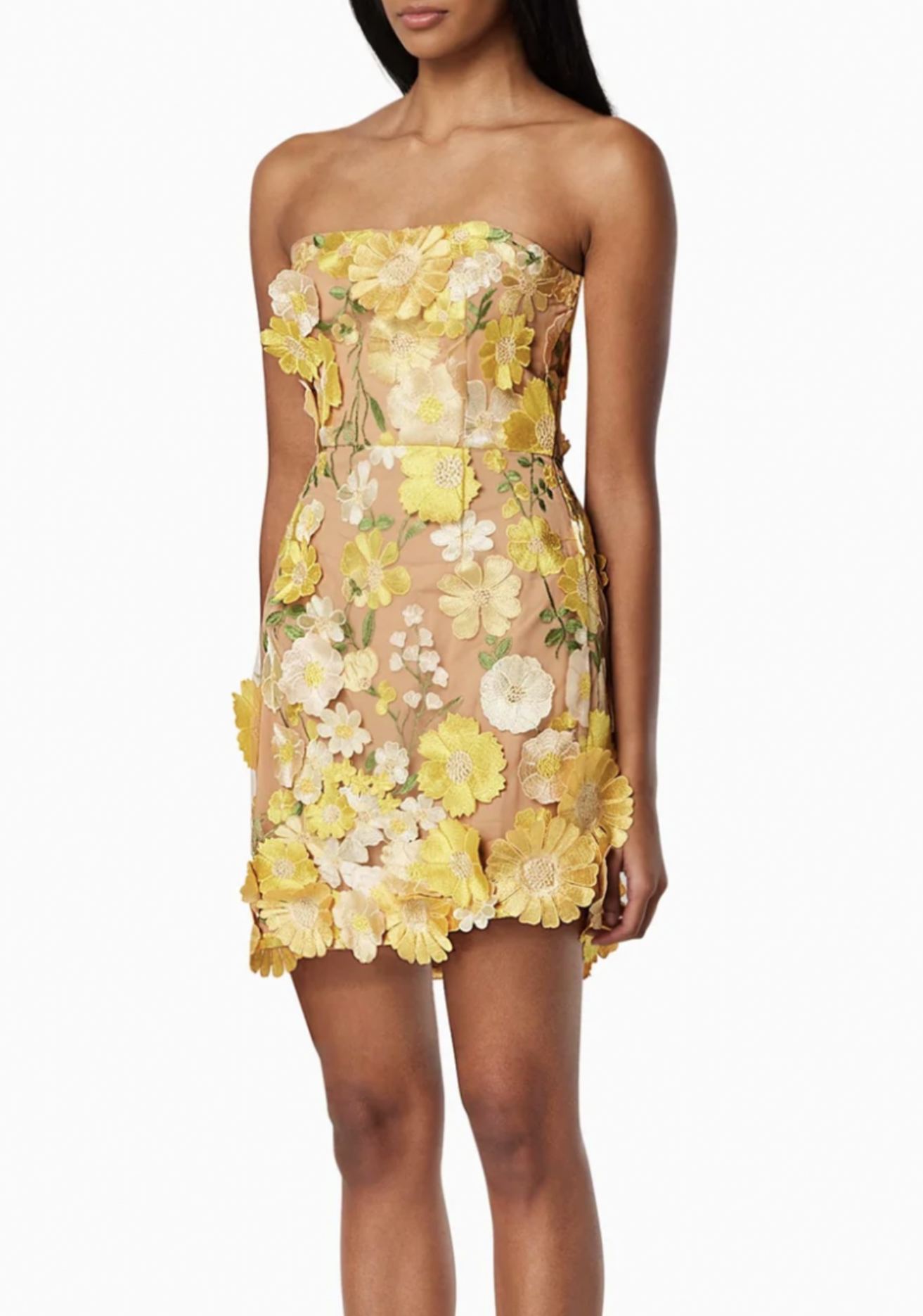 Fiadh Sleeveless Flowers Mini Dress