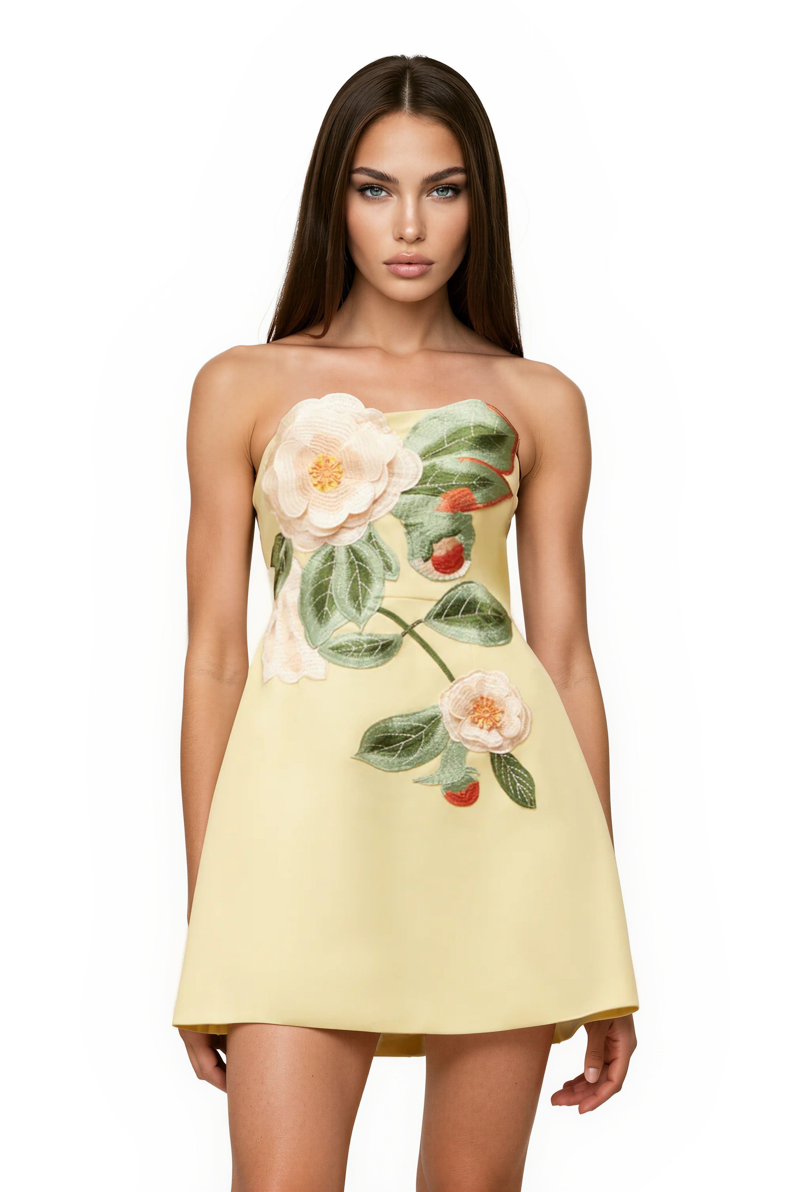 Beryndor Yellow Floral Embroidered Mini Dress