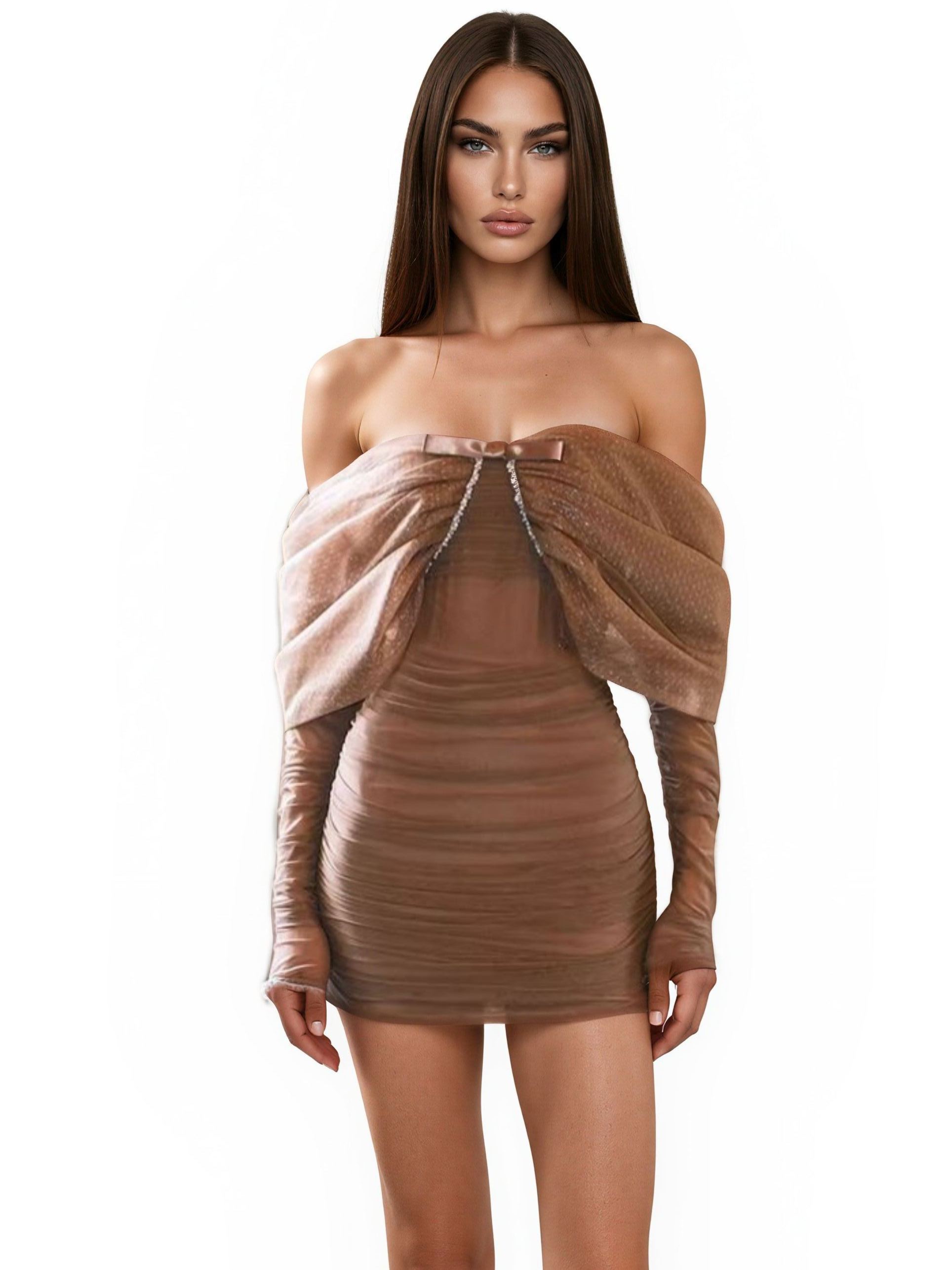 Olesya Off Shoulder Mesh Mini Dress In Brown