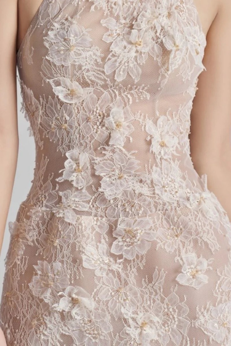 Fitzwilliam Aurelia Lace Dress in Beige