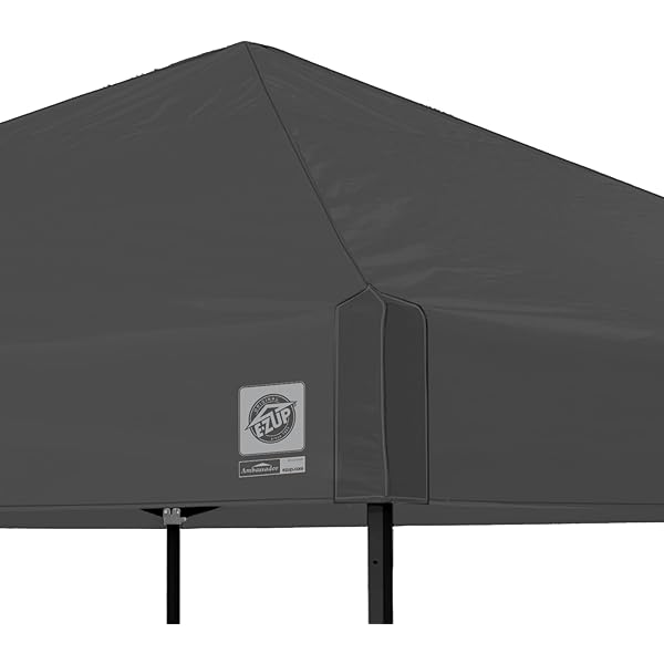 Toldo de Refugio instantáneo, 10 x 10 pies, Bolsa de Rodillo y Juego de 4 Pinchos, Pizarra Blanca Blanco pizarra Toldo de refugio