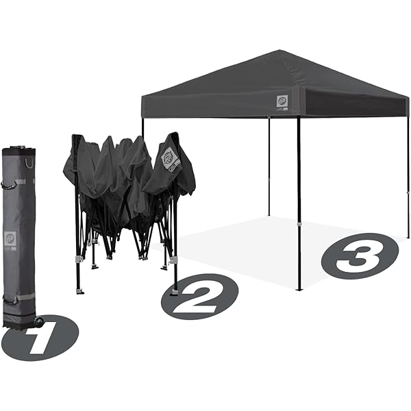 Toldo de Refugio instantáneo, 10 x 10 pies, Bolsa de Rodillo y Juego de 4 Pinchos, Pizarra Blanca Blanco pizarra Toldo de refugio