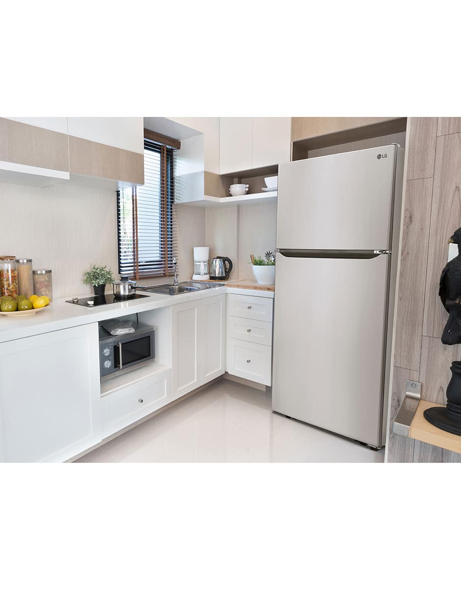 Refrigerador20 pies cúbicos plateado LT57BPSX