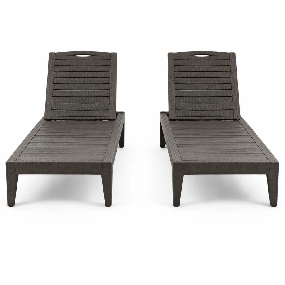 Paire de Chaises Longues de Jardin Réglables, 5 Positions, Charge Maximale 160 kg