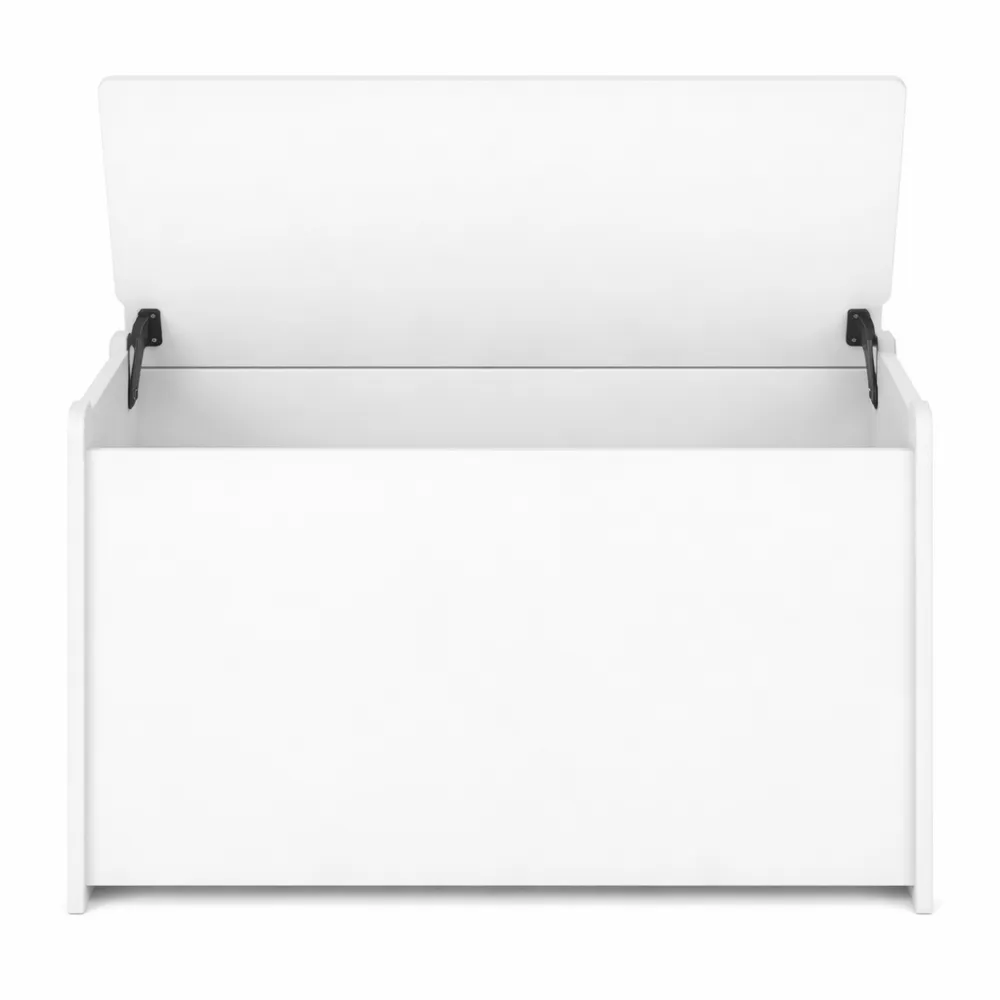 Coffre de rangement pour enfants avec dossier et sécurité, idéal pour salle de jeux-Woodbrookx