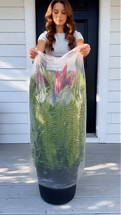 Unpacking and shaping a large artificial fern