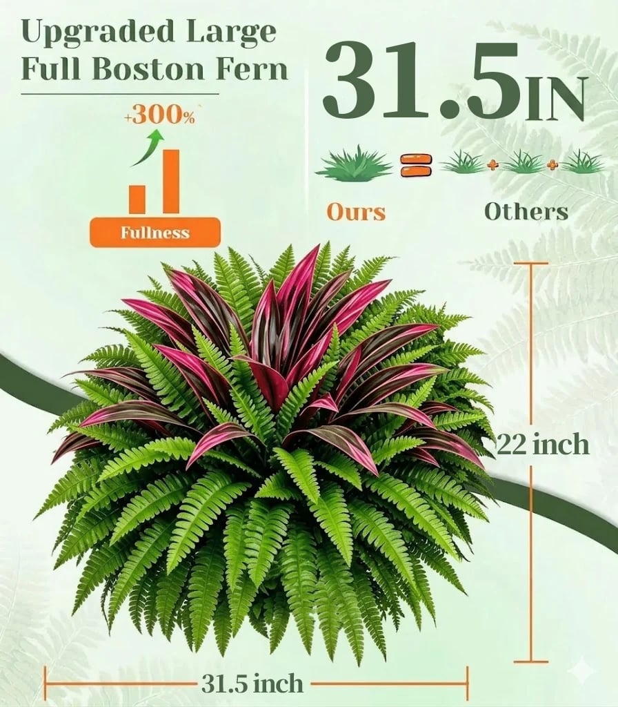 Artificial fern size guide showing 31.5 inch width and 22 inch height